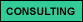 Consulting